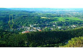 Wohnung mieten in 1230 Wien, Sonnige 4 Zimmerwohnung mit Balkon