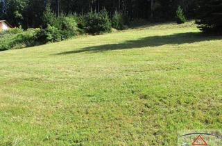 Grundstück zu kaufen in 4172 Petersberg, ACHTUNG - NEUES ANGEBOT: Verkaufe schönen ca. 764 m² großen Baugrund in Sankt Johann am Wimberg!