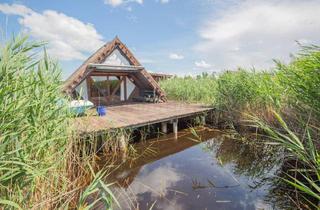 Haus kaufen in 7071 Rust, Sonnige und gepflegte Seehütte mit Landzugang in der Romantika I