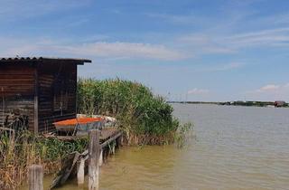 Haus kaufen in 7071 Rust, Abbruchreife Seehütte in ruhiger Lage der Ruster Südbucht