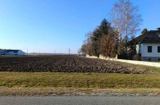 Grundstück zu kaufen in 2422 Pama, 2422 Pama - Freunde aufgepasst - zwei nebeneinander liegende Baugrundstücke