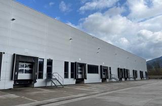 Lager mieten in Gewerbestraße 4, 4882 Oberwang, Neuwertige Logistikfläche an der A1