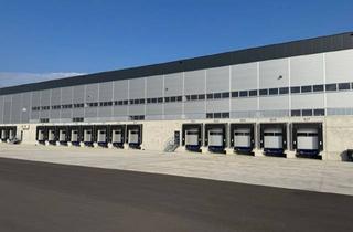 Lager mieten in Reichsstraße 22, 2401 Fischamend-Dorf, Moderne Logistikflächen | Fischamend | teilbar ab 4.000 m²