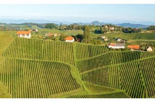 Wohnung kaufen in 8472 Straß in Steiermark, Lebensgefühl statt Immobilie  Top 8