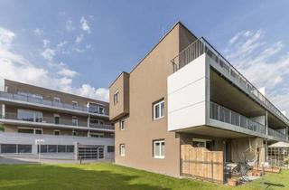 Wohnung mieten in Klaus Kittag-Gasse 8, 3021 Pressbaum, PRESSBAUM XIII/1, geförderte Mietwohnung mit Kaufoption, Wohnung 1.04-EG, 1000/00011190/00001104