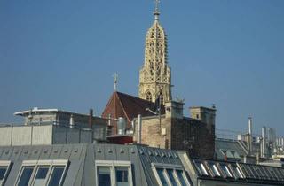 Wohnung mieten in Gölsdorfgasse 2, 1010 Wien, 1010 Wien - Nähe Rudolfsplatz - möblierte Luxus-Dachterrassenwohnung mit Wienblick