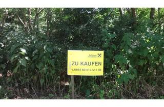 Grundstück zu kaufen in 7100 Neusiedl am See, Verbuschtes Baugrundstück in ruhiger Lage ohne Bauzwang !
