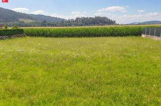 Grundstück zu kaufen in 9100 Völkermarkt, Sonniges Baugrundstück nahe Völkermarkt