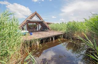 Haus kaufen in 7071 Rust, Sonnige und gepflegte Seehütte mit Landzugang in der Romantika I