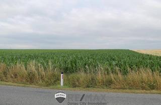 Gewerbeimmobilie kaufen in 2011 Sierndorf, "Landwirte aufgepasst!"