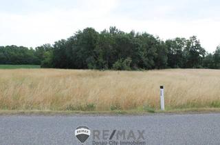 Gewerbeimmobilie kaufen in 2011 Sierndorf, "Landwirte aufgepasst!"