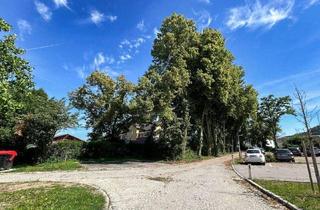 Wohnung kaufen in 4053 Nettingsdorf, PROVISIONSFREI: Moderne 2-Zimmer-Wohnung mit Terrasse und Stadtblick in Ansfelden/Nettingsdorf