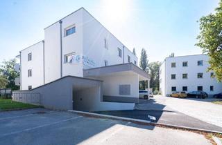 Wohnung kaufen in 4053 Nettingsdorf, PROVISIONSFREI: Moderne 2-Zimmer-Wohnung mit Terrasse und Stadtblick in Ansfelden/Nettingsdorf