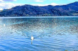 Wohnung kaufen in 4863 Seewalchen am Attersee, HAUS am ATTERSEE – PRIVAT