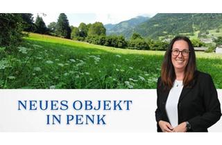 Grundstück zu kaufen in Penk, 9816 Penk, Aufgepasst 3 Grundstücke: Traumhafte Grundstücke - 8.740 m² zum Verwirklichen Ihrer Träume in Penk.!