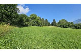 Grundstück zu kaufen in Penk, 9816 Penk, Aufgepasst 3 Grundstücke: Traumhafte Grundstücke - 8.740 m² zum Verwirklichen Ihrer Träume in Penk.!