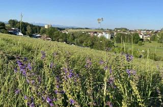 Grundstück zu kaufen in Am Leitnerberg, 4502 Sankt Marien, Neuer Preis - jetzt zugreifen ! Grundstück in der schönsten Wohnlage von St. Marien