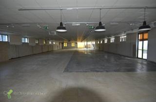 Geschäftslokal mieten in 2601 Sollenau, 780m² Nutzfläche Geschäftslokal mit Parkplatz