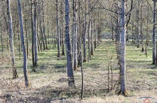 Gewerbeimmobilie kaufen in 4442 Kleinraming, Schöner Wald, Weide