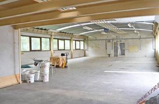 Lager mieten in 2432 Schwadorf, Sehr gut gelegene Halle in Schwadorf für Werkstatt bzw. KFZ geeignet zu mieten - 12 Autominuten von Wien entfernt