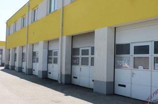 Lager mieten in 2401 Fischamend-Dorf, Sehr gut gelegene Garagenbox / Lager für Hebebühne geeignet und mit großem Einfahrtstor 3 m x 3 m Nähe Flughafen und ca. 12 Autominuten von Wien entfernt