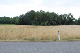 Gewerbeimmobilie kaufen in 2011 Sierndorf, "Landwirte aufgepasst!"