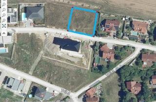 Grundstück zu kaufen in Tollet, 4710 Tollet, Grundstück mit Aussicht und fertigem Doppelhausprojekt NEUER PREIS