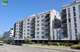 Wohnung mieten in Czeikestraße, 1100 Wien, Toller 1-Zimmer Grundriss in Ruhelage in 1100 Wien