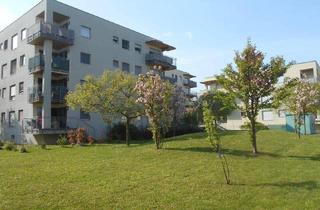 Wohnung mieten in Peter Rosegger Straße 29-39a, 8053 Graz, Peter Rosegger 3ZI im 3./letzten OG sonniger Ost/Balkon ruhig, ökologisch, familienfreundlich