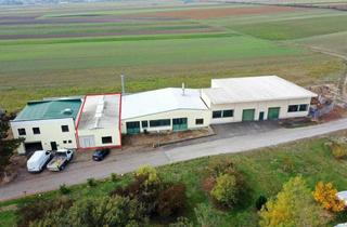 Gewerbeimmobilie mieten in 2492 Eggendorf, Produktions - oder Lagerhalle Nr. 1