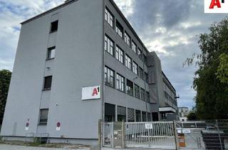 Büro zu mieten in Mittelstraße, 5020 Salzburg, Attraktive Büroflächen provisionsfrei in zentraler Lage von Salzburg zu vermieten