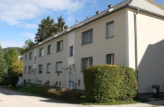 Wohnung mieten in Kitzbergstraße, 2763 Pernitz, 2- Zimmer Wohnung in Neusiedler bei Pernitz