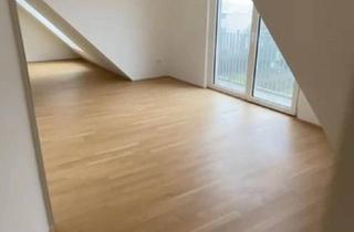 Wohnung mieten in 1230 Wien, 2 Zimmer Dachgeschosswohnung