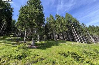 Grundstück zu kaufen in 5582 Sankt Michael im Lungau, 10,37 ha - Waldgrundstück in St. Michael im Lungau
