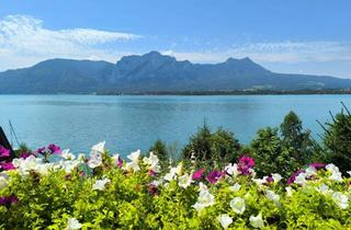 Einfamilienhaus kaufen in 5310 Mondsee, Ein Haus. Ein See. Ein Traum(blick). Zwei Wohneinheiten - Wohnen & Vermieten oder Zweifamilienhaus