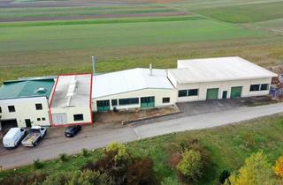 Lager mieten in 2492 Eggendorf, Produktions - oder Lagerhalle Nr. 1