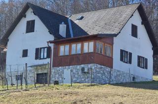 Gewerbeimmobilie kaufen in Fürstenfeld, 8362 Tautendorf bei Fürstenfeld, Buschenschank in den Weinbergen mit ca 9.000 m² Grundstücksfläche inkl. Weingarten