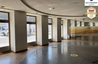 Büro zu mieten in Fussgängerzone, 2460 Bruck an der Leitha, 554m² Geschäfts-Bürofläche am Beginn der Fußgängerzone in Bruck/Leitha