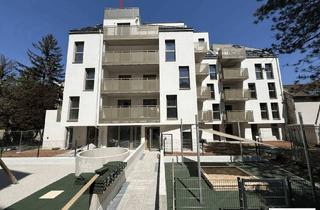 Wohnung mieten in Schrottensteingasse, 1220 Wien, Ruhige DG-Wohnung mit Sonnenterrasse und Klima, Erstbezug, privat, 3 Min zur U1