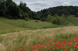 Grundstück zu kaufen in Ruthweg, 9161 Maria Rain, Schönes, sonniges Grundstück in herrlicher Lage in Maria Rain