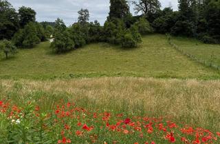 Grundstück zu kaufen in Ruthweg, 9161 Maria Rain, Schönes, sonniges Grundstück in herrlicher Lage in Maria Rain