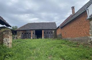 Haus kaufen in 7461 Neumarkt im Tauchental, Sanierungsbedürftiger Streckhof mit großem Stadel