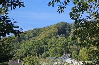 Grundstück zu kaufen in 1190 Wien, Sonniger Traumgrund mit herrlichem Weitblick!