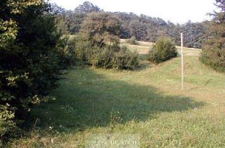 Grundstück zu kaufen in 3033 Altlengbach, Schnäppchen Wunderschöne, südseitige Wiese, ! K E I N BAUGRUND !!