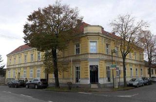 Wohnung mieten in Moosbrunnerstraße, 2521 Trumau, Helle 2-Zimmer Wohnung 20 km südlich von Wien