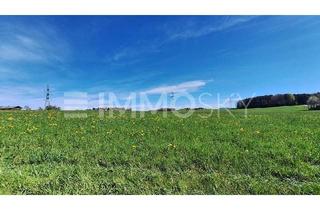 Grundstück zu kaufen in 5201 Seekirchen am Wallersee, Zukunft bauen: Sonniges Baugrundstück in Seekirchen am Wallersee