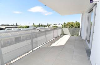 Wohnung mieten in 2320 Schwechat, Vom Feinsten! 3 Zimmer mit großem West-Balkon. Was wollen Sie mehr?
