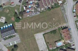 Grundstück zu kaufen in 5204 Straßwalchen, VIEL PLATZ FÜR IHRE TRÄUME: 2.340 m2 ohne Bauzwang in Straßwalchen!