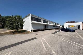 Gewerbeimmobilie mieten in 7341 Lindgraben, Halle für Produktion und Lager