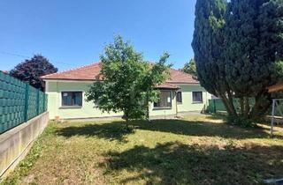 Einfamilienhaus kaufen in 3470 Kirchberg am Wagram, RUHIGES WOHNEN MIT VIEL PLATZ AM RANDE DER WEINBERGE